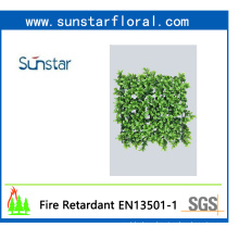 PE Boxwood Artificial Turf Artificial Plant for Home Decoration with SGS Certificate (50663)